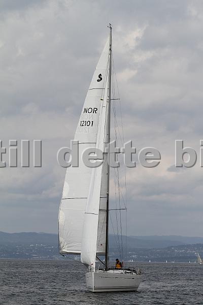 Bundefjorden2012 265.jpg